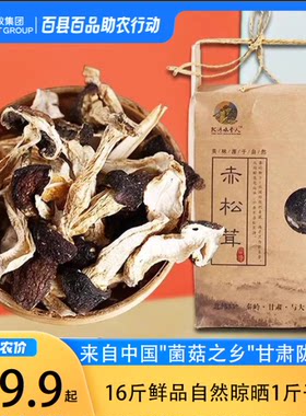 甘肃秦岭赤松茸干货新鲜精品深山林下环境生长煲汤炖鸡火锅
