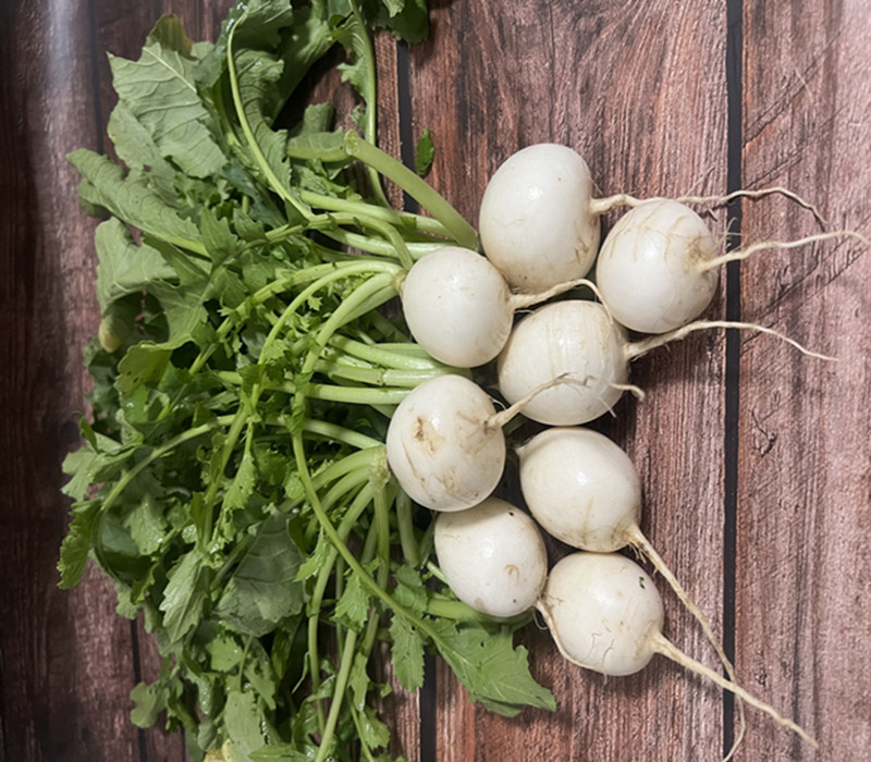 白萝卜安徽蔬菜无为特产萝卜