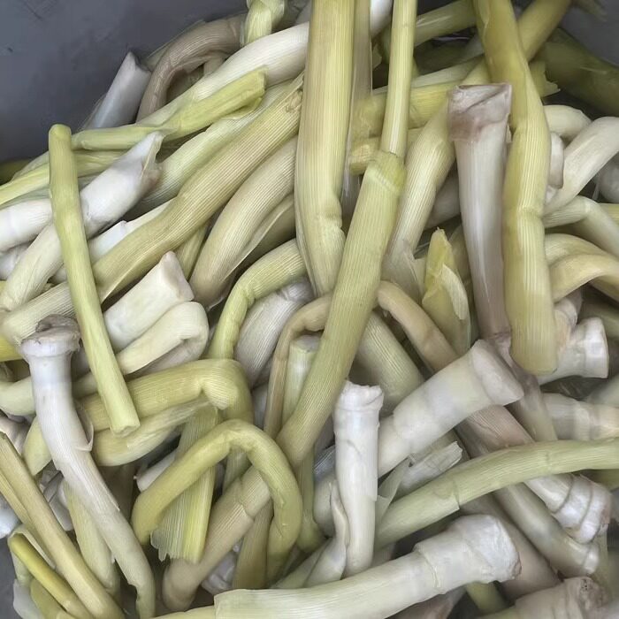 芦苇笋新鲜安徽特产无为芦笋当季蔬菜笋尖芜湖芦苇笋嫩笋下饭蔬菜