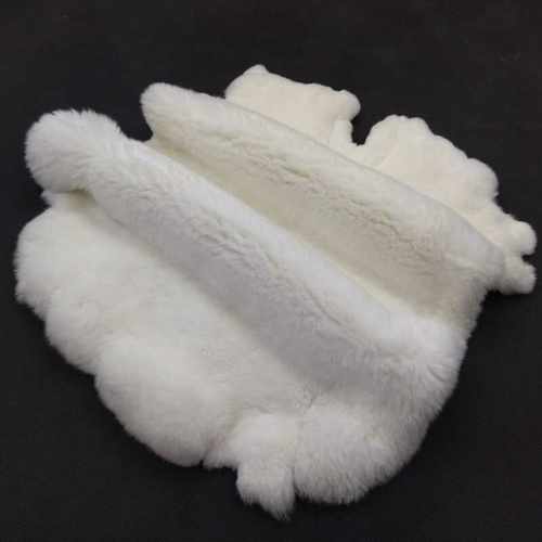 皮草保暖真兔子皮大尺寸獭兔毛