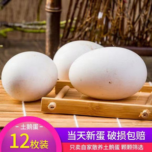 鹅蛋散养12枚新鲜鹅蛋农家正宗土鹅蛋孕妇生鹅蛋初产鹅蛋促销 包邮