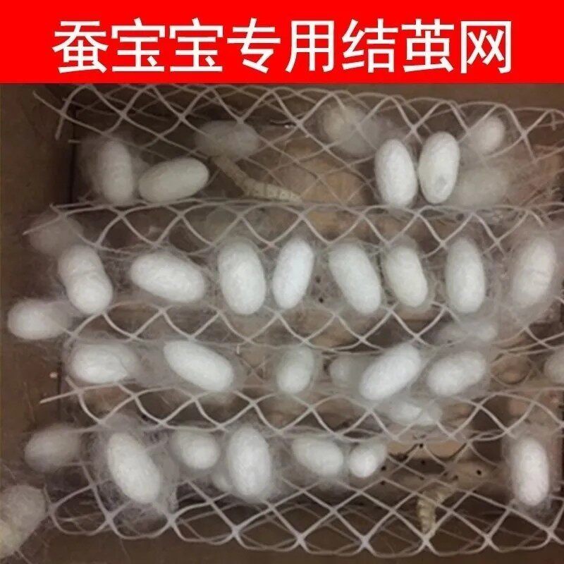 蚕宝宝吐丝结茧网养蚕结茧上簇网重复利用养蚕工具大批量结茧专用