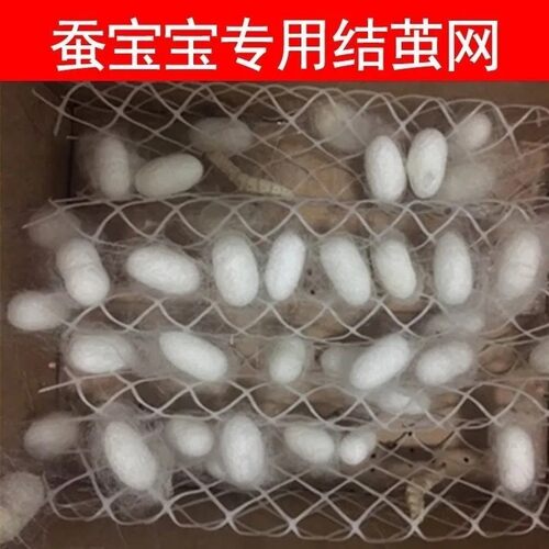 蚕宝宝吐丝结茧网专用