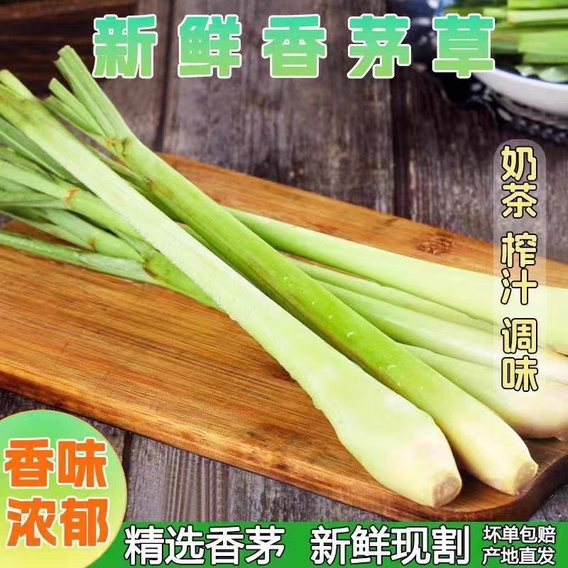新鲜香茅草泰国汤料新鲜柠檬草香茅烤鱼调料香料香水柠檬叶新鲜