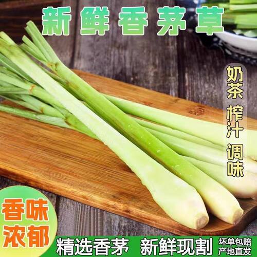 新鲜香茅草泰国汤料新鲜柠檬草香茅烤鱼调料香料香水柠檬叶新鲜