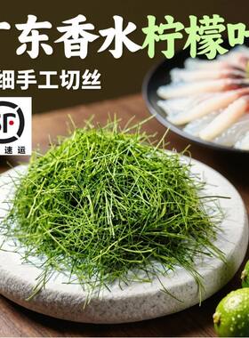新鲜香水柠檬叶切丝鱼生烧烤配料