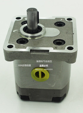 高压齿轮泵P101RP01G P102/127/135/104/5/6/1077RP01 P109RP01G