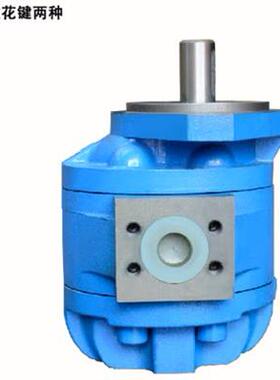 齿轮泵CBG-2040/2050/2063/2080/2100/3140/3200-CBGJ-B2R双联泵