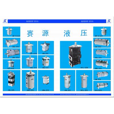 双联泵合肥赛源SY齿轮泵C