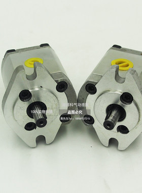 高压齿轮泵P101RP01G P102/127/135/104/5/6/1077RP01 P109RP01G