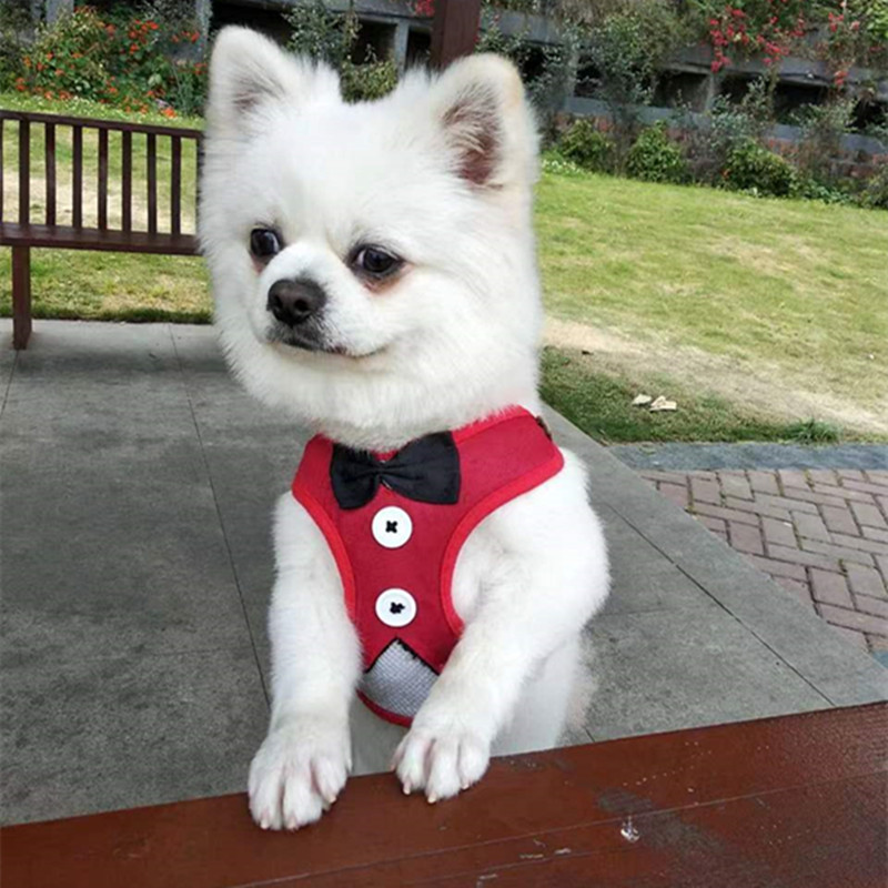 中型小型犬背心式牵引绳