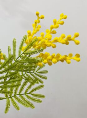 厂家自然系野趣仿真金合