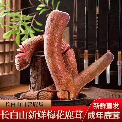 吉林梅花鹿茸长白山鹿茸整支鲜鹿茸头茬二杠新鲜鹿茸泡酒煲汤药材