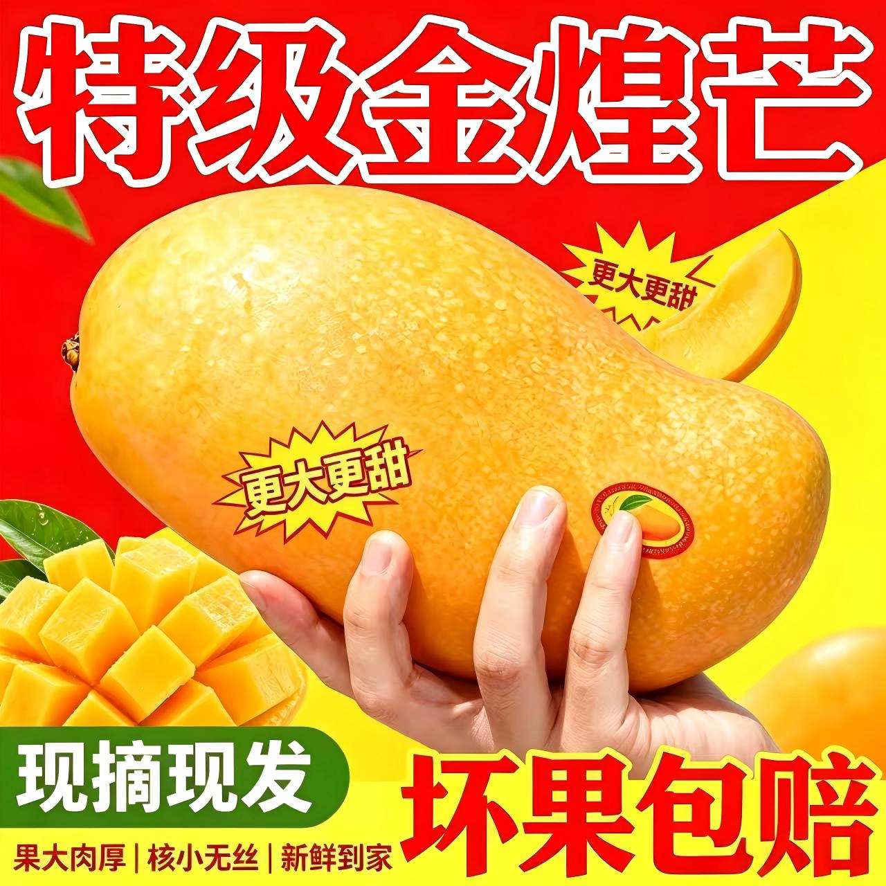 海南金煌芒果新鲜大果现摘黄皮芒果包邮当季水果