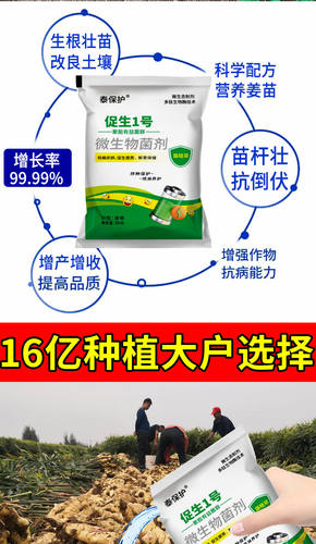 抑菌肽产生抑菌圈缓解作物病虫害协迫提质早熟降农残渗透强膨大快
