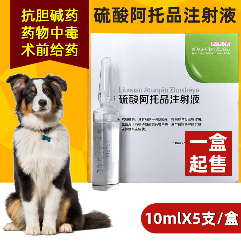 宠物中毒急救狗用百毒解硫酸阿托品注射液猫中毒死老鼠解药解毒针