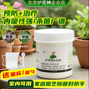 护花神小白药2杀菌剂多肉花卉植物通用月季黑斑病烟煤黑腐病花药