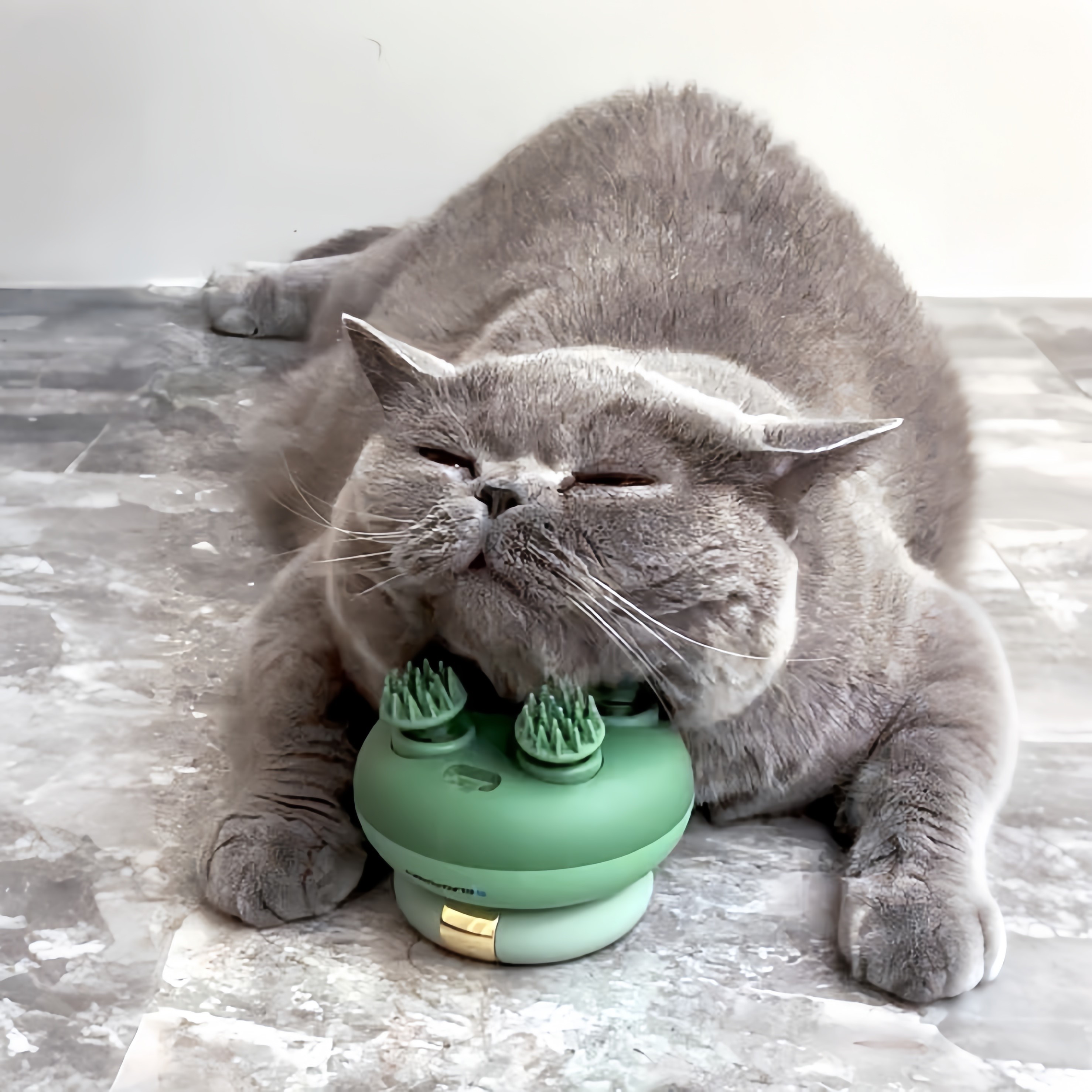 猫玩具自嗨解闷神器猫咪按摩器头部颈部电动宠物充电八爪鱼揉捏器