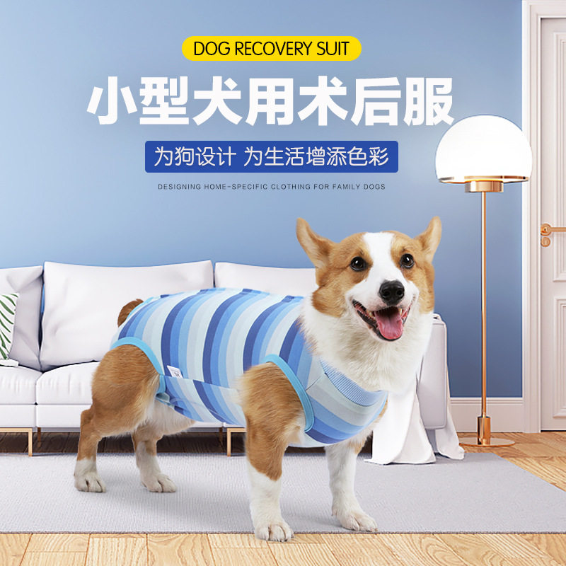 宠物狗狗绝育服手术服薄款断奶专用柯基防掉毛防舔四脚衣服术后衣