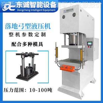 家定制20吨钢丝绳压套DCLC液型压机镀锌端子压合机小弓厂落地型油