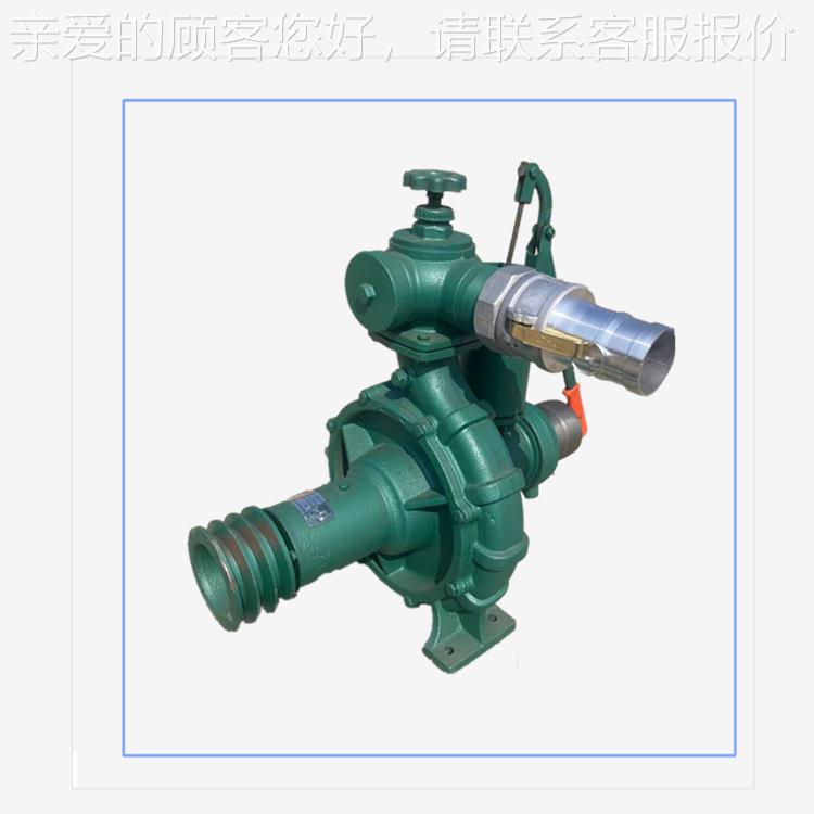 水管道电打压喷灌泵 4寸抽泵 机水皮带连接GLT高压喷灌泵