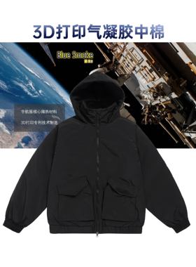GWDS 气凝胶中棉2.0 黑色立领连帽棉服