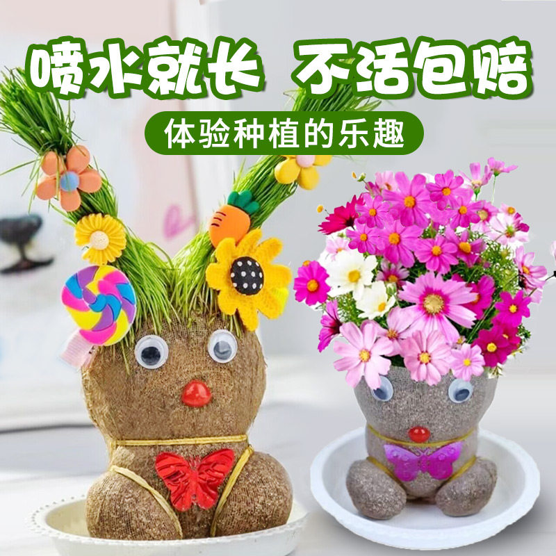 diy创意草头娃娃绿植桌面水培儿童好养长草植物幼儿园盆栽小摆件