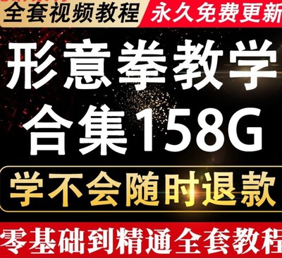 形意拳视频教程名师教学讲解内家拳功夫站桩拳法内功套路武术实用