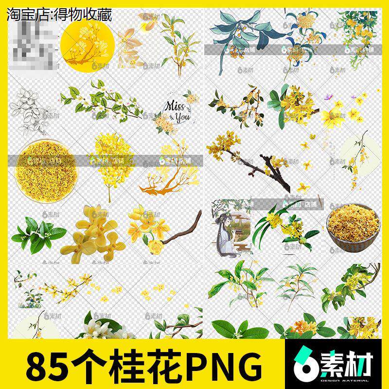桂花手绘黄色小花朵植物漂浮花瓣水彩古风ps免抠png图片设计素材