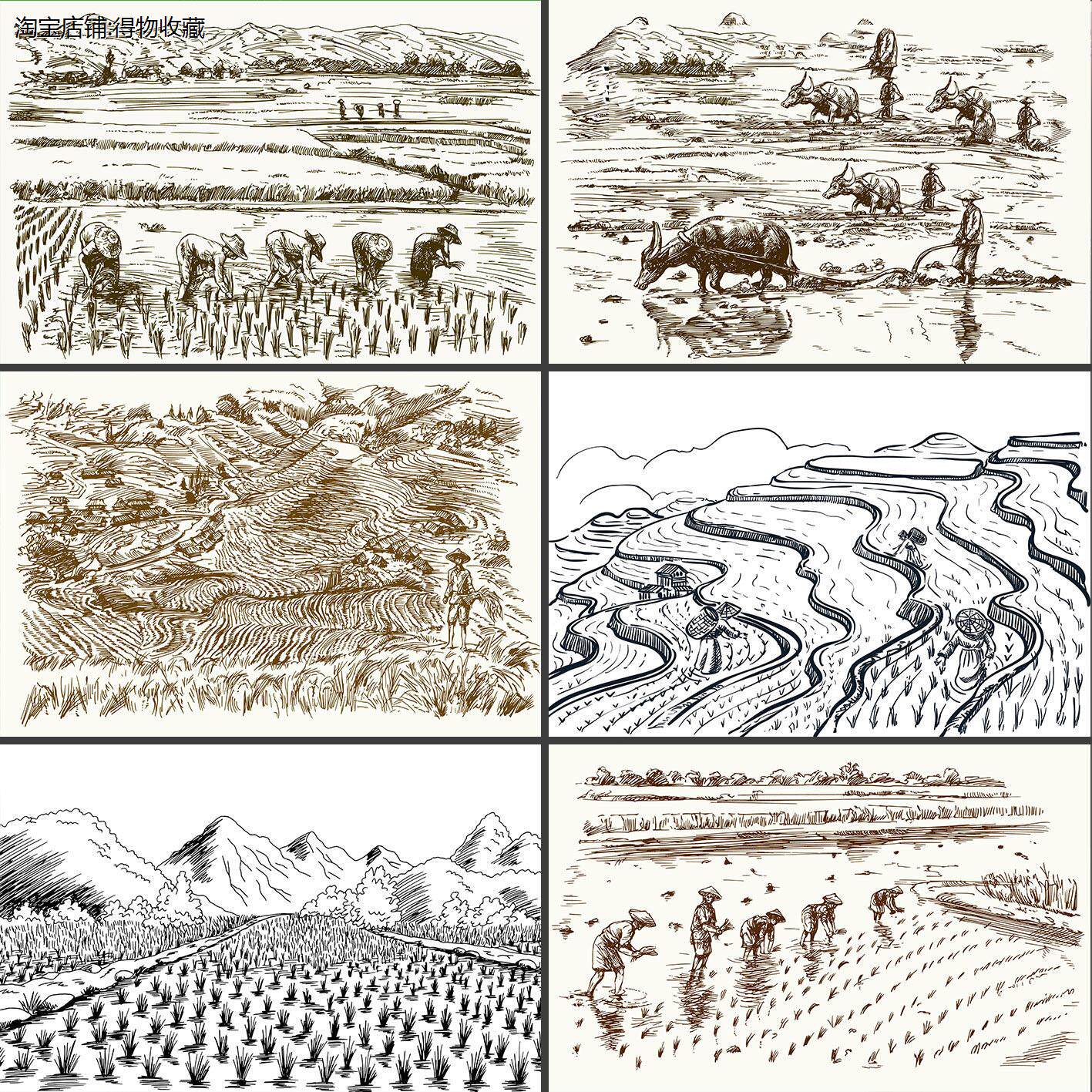 手绘素描线描农村乡村耕种插秧稻田农田水稻种植插画设计素材