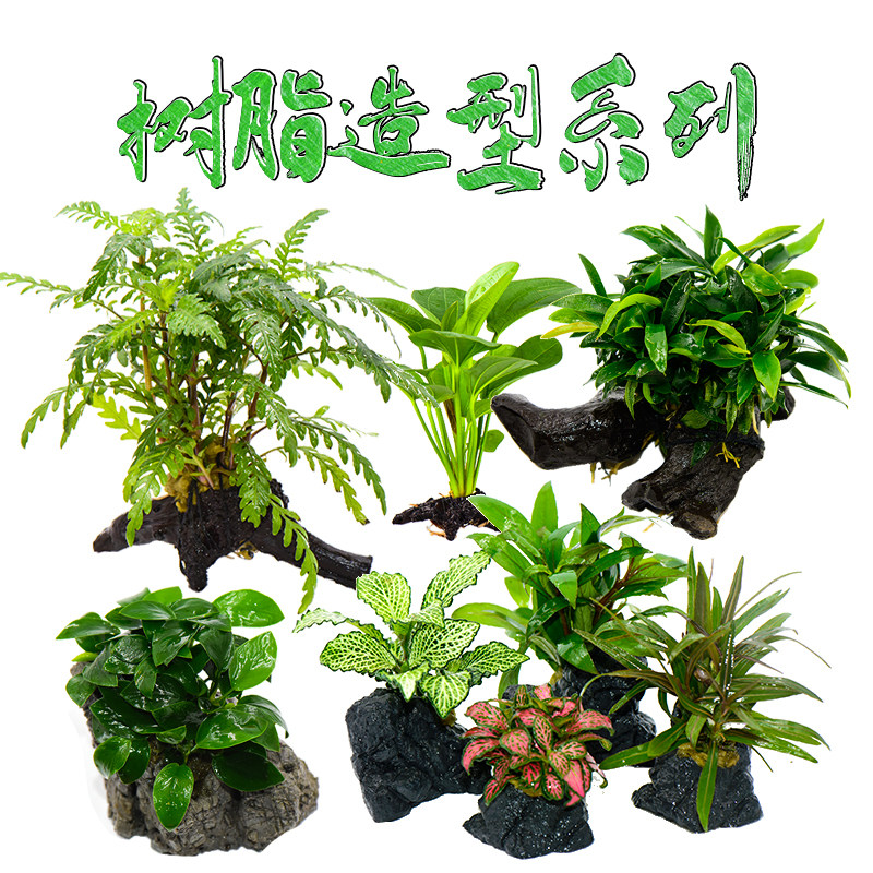 仿真沉木活体真水草淡鱼缸造景套餐阴性水榕水无土植物趴地矮珍珠,宠物/宠物食品及用品,水草,淘宝优惠券,粉丝福利购,淘宝优惠卷