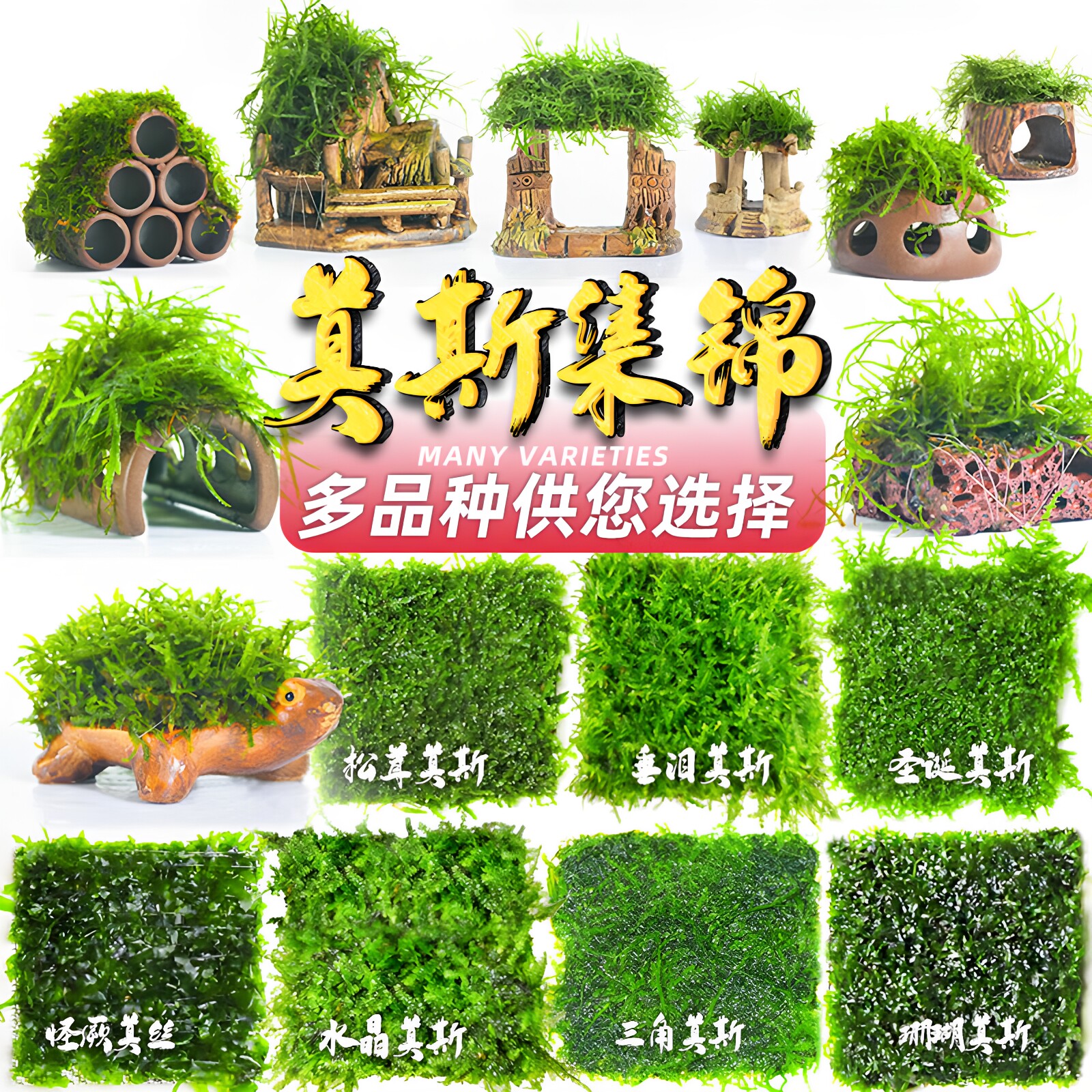 莫斯树水草水族箱装饰懒人鱼缸造景淡水真植物绿藻球沉木阴性活体