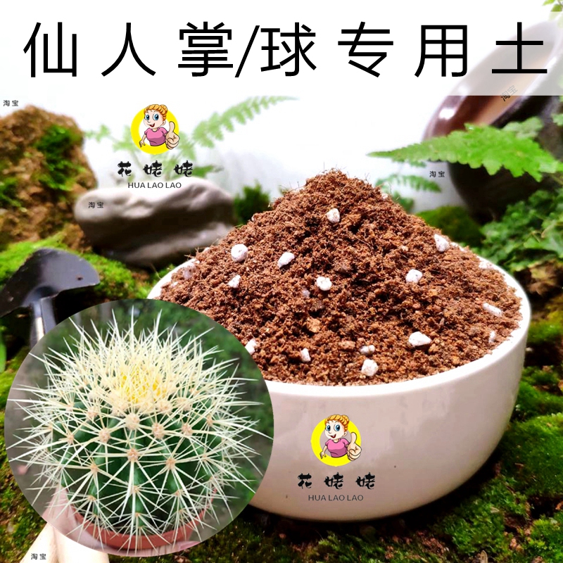 仙人掌玉麒麟防辐射花卉专用土