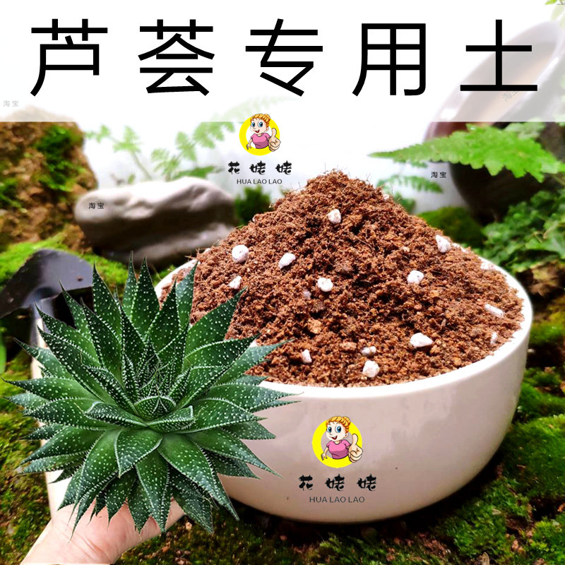 芦荟专用土库拉索不夜城品种培植土斑纹中华女王多肉通用型营养土