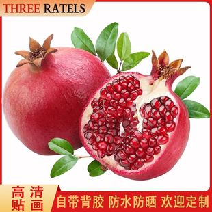 石榴多子多福贴画厨房冰箱门窗贴饰结婚双石榴一对客厅贴纸装饰画