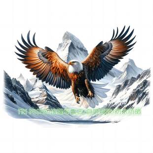 新款高山雪岭雄鹰大鹏展翅贴纸汽车电瓶车划痕贴纸墙面装饰防水贴
