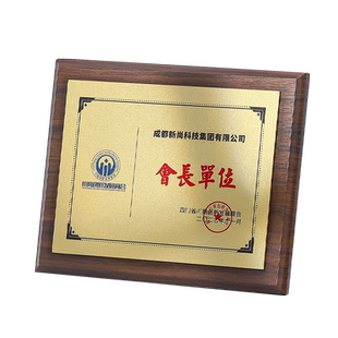高档实木战略合作伙伴牌匾企业牌匾荣誉牌制作打印授权书常年法律顾问优秀员工获奖聘书任命书奖状定制