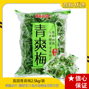 荔园青梅青爽梅2.5kg酸甜爽脆蜜饯果脯果干独立小包装休闲零食