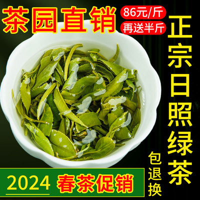 日照绿茶2024年新茶一级散装自己喝板栗浓香豆香炒青茶叶礼盒正品