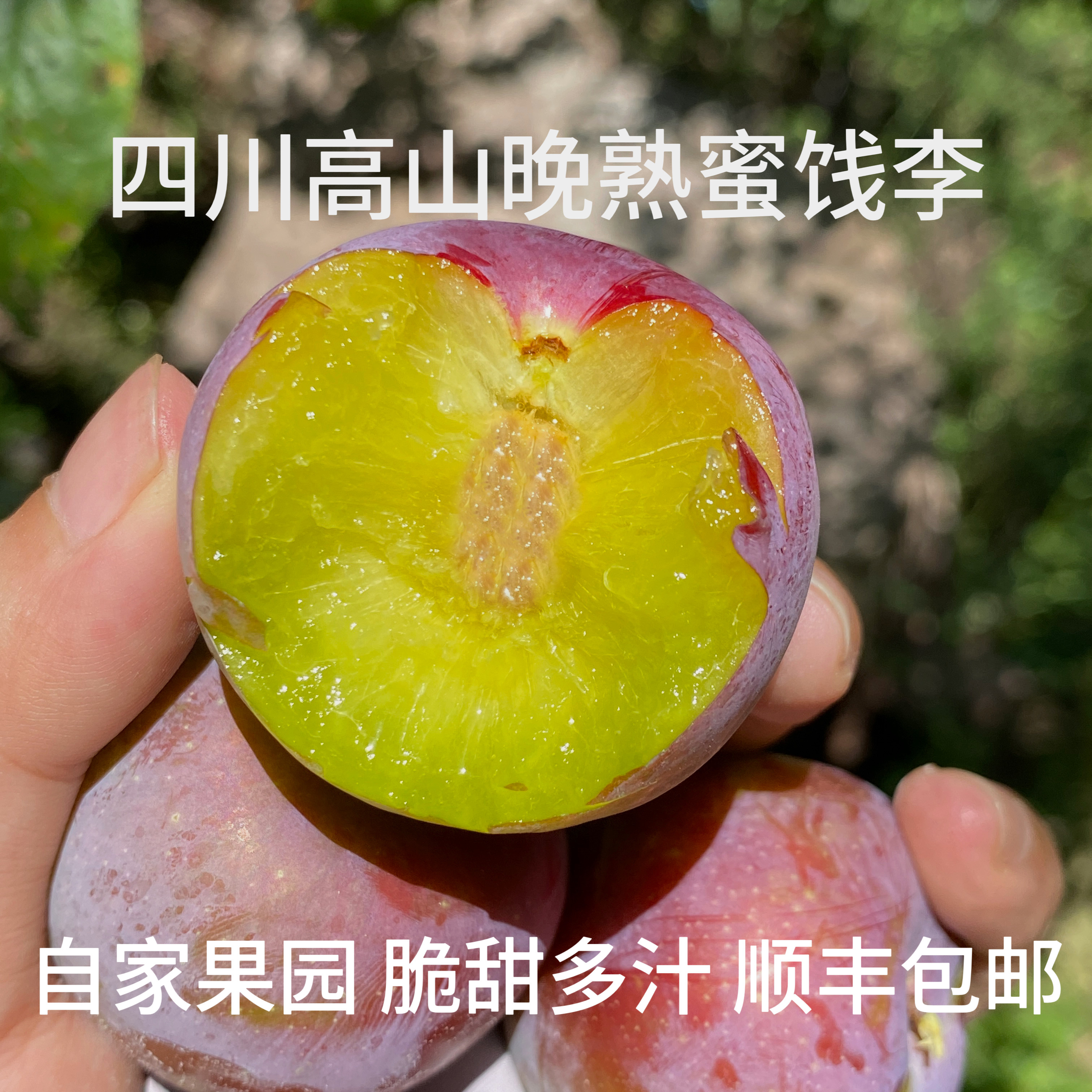 【顺丰】四川脱骨李子蜜见李蜜饯李五月脆凤凰李子新鲜水果孕妇
