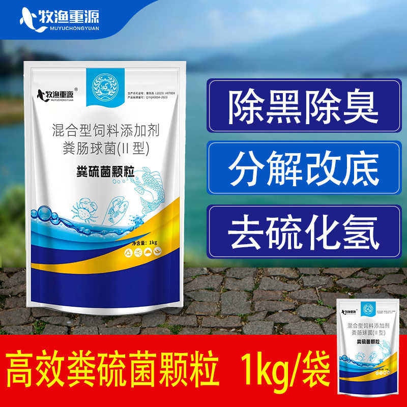粪硫菌颗粒水产养殖专用除臭剂分解底改硫化氢鱼虾蟹塘专用底改王