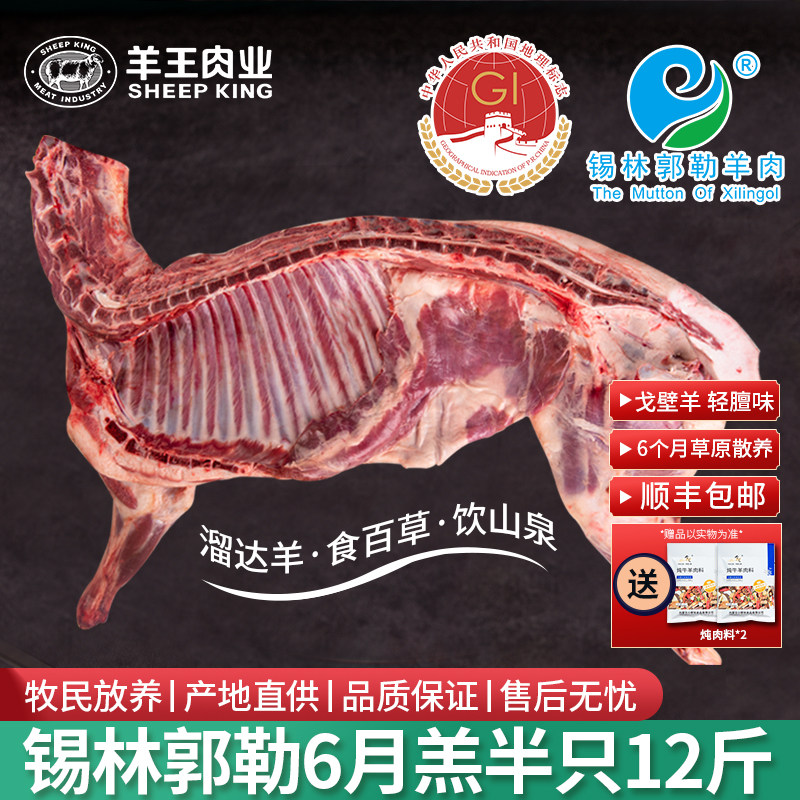 羊王内蒙古锡林郭勒羊只羊肉腿排烧烤煲汤炖炒食材包邮整个