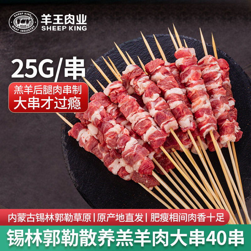 羊王肉业内蒙古新鲜烧烤大串羊肉串半成品商用电烤炸串食材