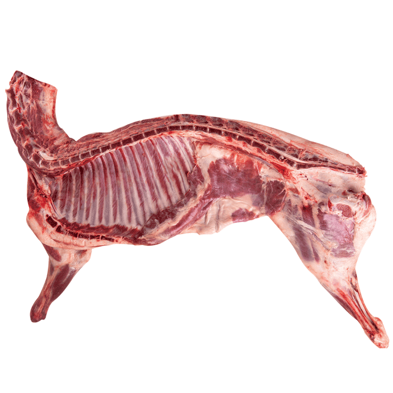 羊王内蒙古锡林郭勒羊只羊肉腿排烧烤煲汤炖炒食材包邮整个