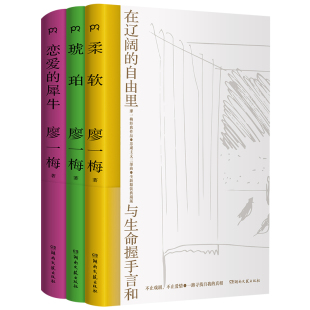 自由里 琥珀 三十余年对生命与爱情 思考 柔软 犀牛 全新精装 典藏版 恋爱 与 在辽阔 犀牛廖一梅悲观主义三部曲