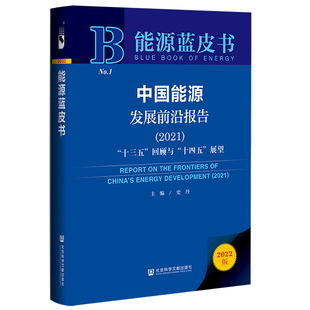 十四五 能源蓝皮书：中国能源发展前沿报告 回顾与 2021 展望 十三五