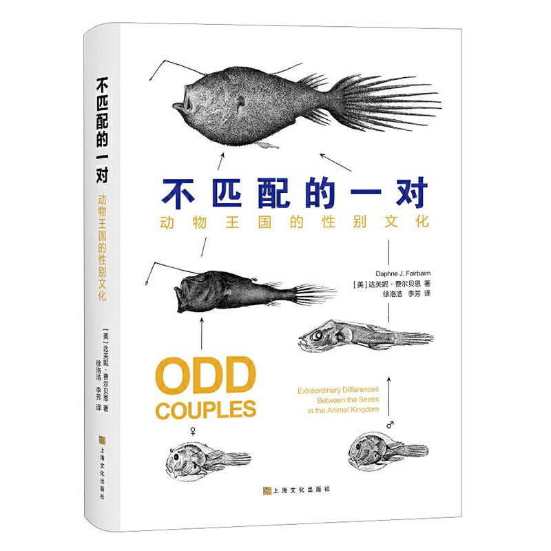 不匹配的一对——动物王国的性别文化使用感如何?