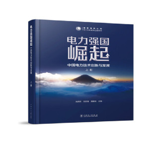 ——中国电力技术创新与发展 电力强国崛起