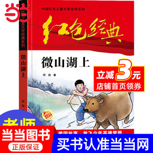 小學生四五六年級課外書 革命傳統(tǒng)教育讀本愛國 中國紅色兒童文學經(jīng)典 紅色經(jīng)典 系列 書籍故事書 —微山湖上 少年勵志紅色經(jīng)典
