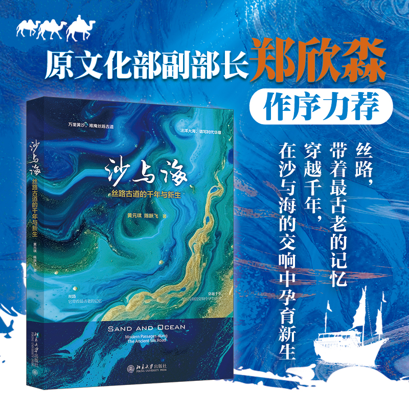 沙与海：丝路古道的千年与新生 黄元琪 陈跃飞 书籍/杂志/报纸 文化史 原图主图